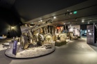 Komentovaná prohlídka stálé expozice 