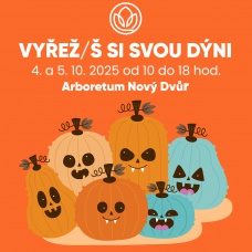 Vyřež/š si svou dýni