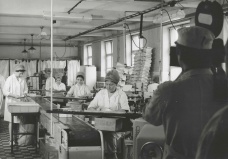 Opavia _ 1978