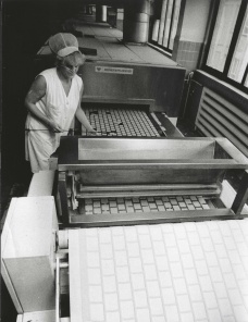 Opavia _ 80. léta